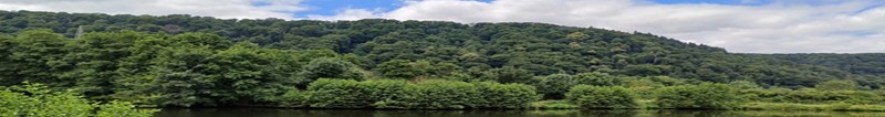 Limberg-Banner